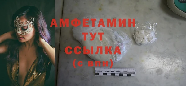 сатива Алзамай