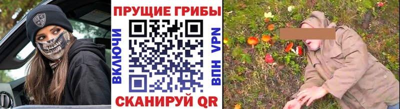 цена   Саки  кракен ссылки  Галлюциногенные грибы MAGIC MUSHROOMS 
