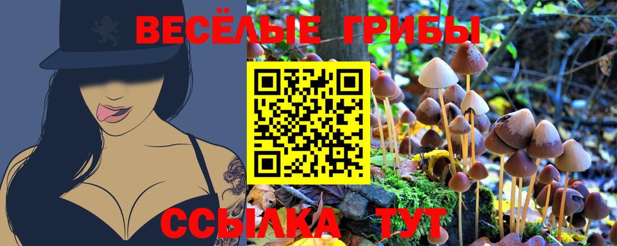 Псилоцибиновые грибы мухоморы Саки